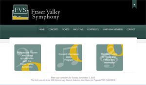 portfolio_FVS_screenshot_sm